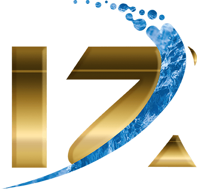 IZ INTERNATIONAL IMPEX